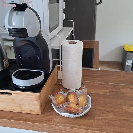 For 6 People Cdg And Asterix Parc Apartment